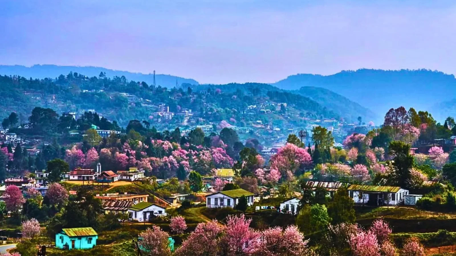 Best travel agency in Kerala