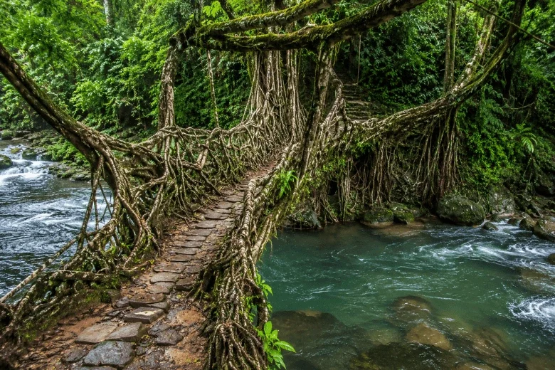 Best travel agency in Calicut